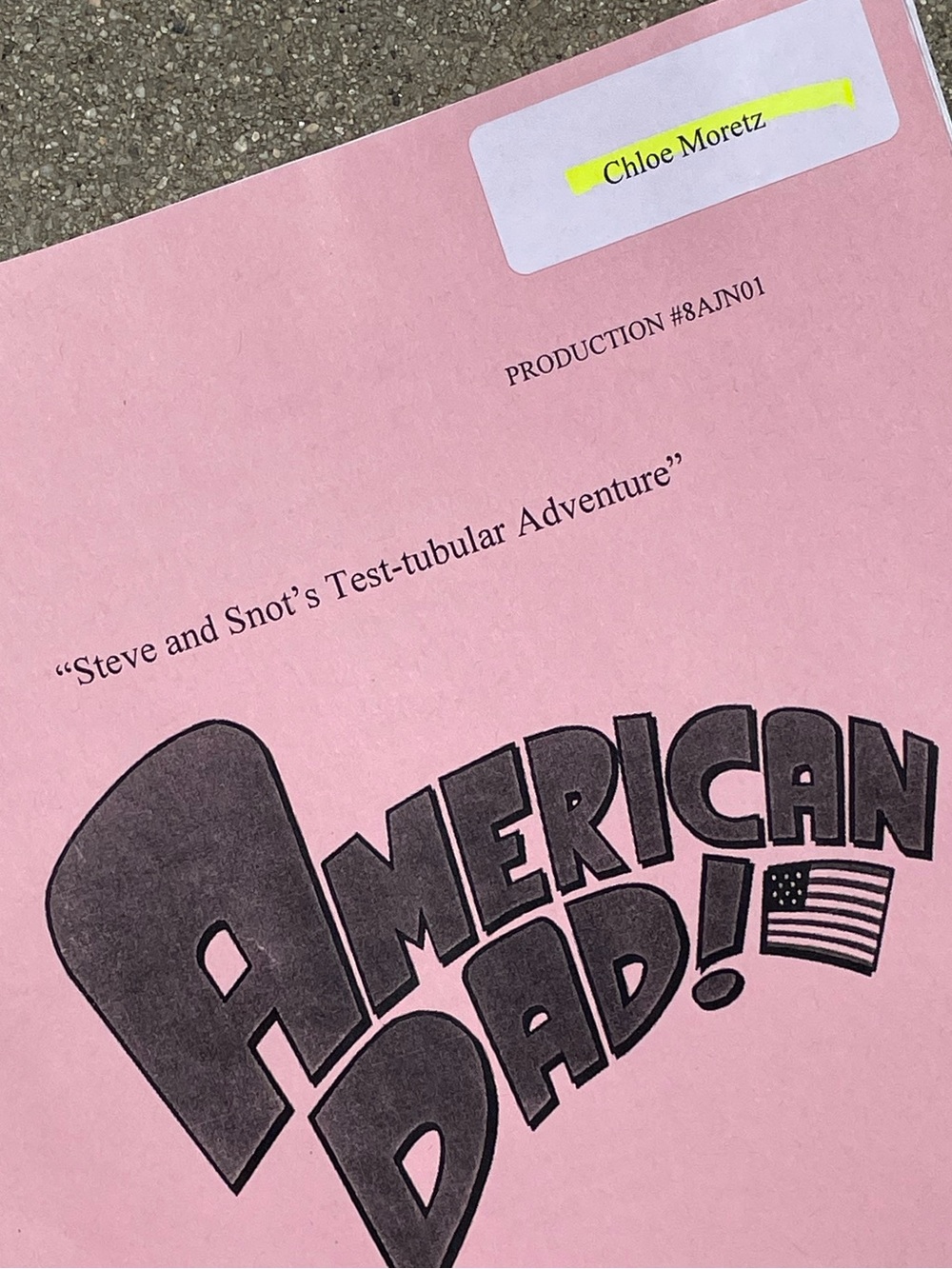 RARE Chloe Grace Moretz American Dad 2012 Production Used Highlit Table Script